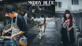 Пресет Moody Blue | Мобильный пресет Lightroom Бесплатный DNG | пресет moody | пресет blue | прес...