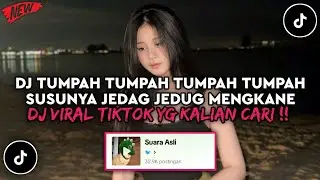 DJ TUMPAH TUMPAH TUMPAH TUMPAH SUSUNYA SLOW JEDAG JEDUG MANGKANE VIRAL TIKTOK TERBARU 2024