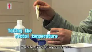 Этапы использования цифрового термометра - на английском языке