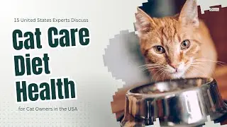 15 United States Experts Discuss Cat Care Diet and Health for U.S. Cat Owners