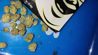 Visual Strain Review: Gas Face⛽️  by Delighted 🔥 🔥 🔥🔥