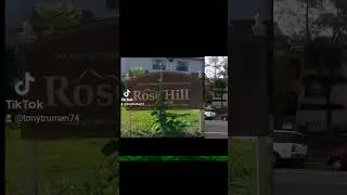#projectraised #projects #rosehill #bornandraised