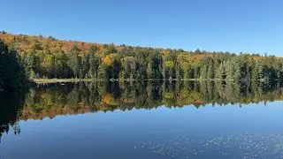 Scenic Autumn Foliage Drive Through Algonquin Park in Ontario Canada