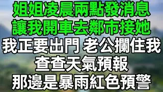 姐姐凌晨兩點給我發消息 讓我開車去2千公里外的鄰市接她 我正要出門 老公攔住我：查查天氣預報 那邊是暴雨紅色預警#夜讀人生 #情感故事  #大橘讲故事 #講故事  #幸福生活 #深夜淺讀 #深夜故事
