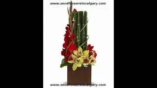 Send flowers from Hong Kong to Calgary Alberta Canada