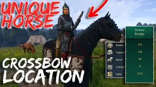 Получите УНИКАЛЬНУЮ лошадь &laquo;Бронку&raquo; и арбалет в ранней версии Kingdom Come Deliverance 2