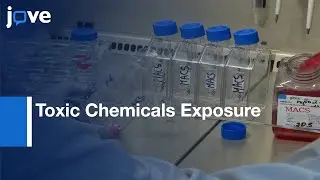 Endothelial Cell Migration Assessment After Toxic Chemicals Exposure | Protocol Preview