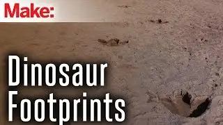 DIY Dinosaur Footprints