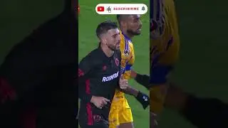 Noticias Tigres: Filtran FICHAJE de ULTIMA HORA para Guido PIZARRO! Llega Nuevo REFUERZO