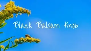 Hiking Black Balsam Knob & Tennent Mountain