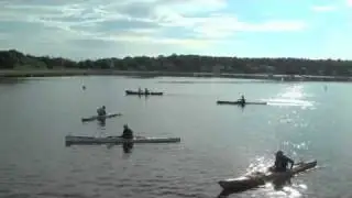 The Bird Island Challenge