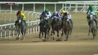 Al Ain 240126 Race 4