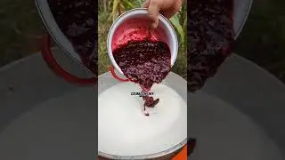 Yogurt de Mora casero 😋 #viralvideo