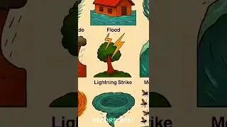 Discover Types Of Natural Disasters