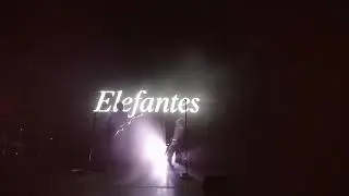 Elefantes #duele