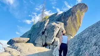 BEAR SIGHTINGS IN SEQUOIA NATIONAL PARK!