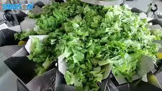 Lettuce packing machine