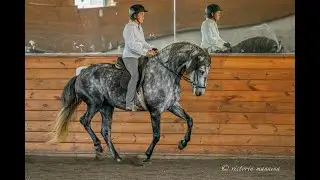 The Art of Classical Dressage Ep.1