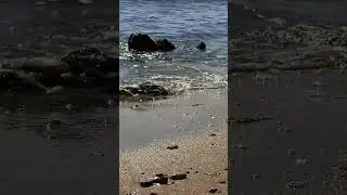 Шум морских волн #asmr #sea #шумводы #shorts
