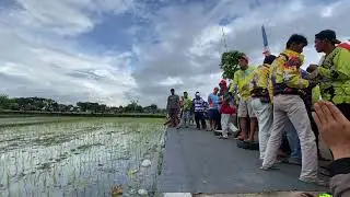 TERBANGAN 2 LOMBA MERPATI LAPAK PRINGGODANI SERIAN JUM’AT