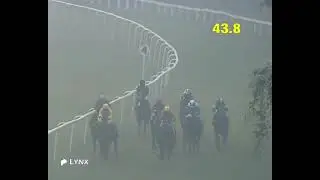 32nd winner The Republic Day Cup 🏆 #CASH IN HAND 🐴