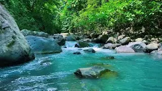 Can&rsquo;t Sleep Play This Forest River Sounds Fall Asleep Fast Deep Sleep Water Flow All Night