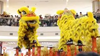 1 Utama&rsquo;s 