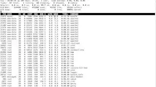 Sorting the Top command according to the Memory utilisation ( Ubuntu, Linux, Debian )
