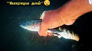 Meen எடுத்த முடிவு😱why to catch and release | on real story | viral Meen பிடிபது
