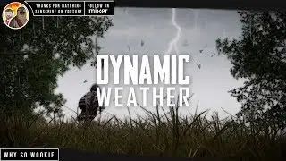 PUBG NEW DYNAMIC WEATHER ANALYSIS