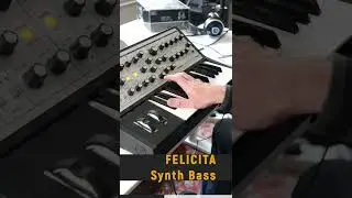 Felicita - SynthBass - moog Sub Phatty #Shorts