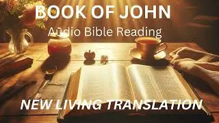 Book of John NLT Audio Bible