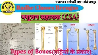 Types of Bones । हड्डियों के प्रकार । livestock assistant । पशुधन सहायक । LSA By Dr. Radheshyam