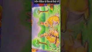 How to make a beautiful Rabbit painting with colour pencils
