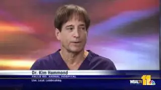 Treating Dog Diseases, Fat Cats