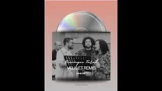 Velis et Remis - Dominique Farah