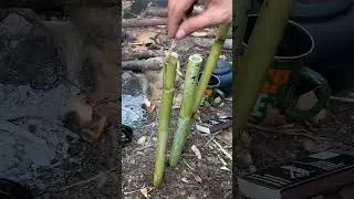 Изготовление бамбуковой свечи ручной работы в кемпинге Bushcraft