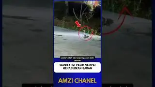 TERNYATA ULAR KOBRA TIDAK TAKUT SAMA GARAM