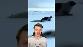 Worst Animal Parents