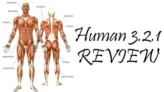 Human 3.2.1 (Google App) REVIEW