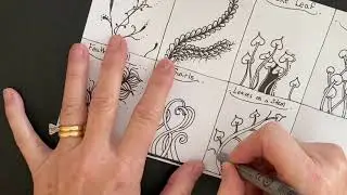 Botanical Zentangle Project
