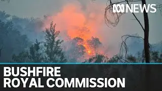 Annual $50 million natural disaster fund set aside for mitigation has not been spent | ABC News