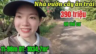 Nhà vườn cây ăn trái , mặt tiền nhựa thông, sẵn hệ thống tưới , 11×98m diện tích 1034,7m²