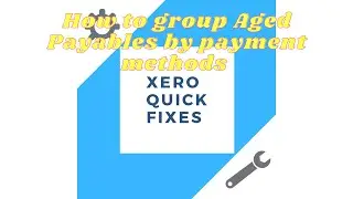 Quick Fixes 23 - How to group Aged Payables by payment methods on Xero a simple solution