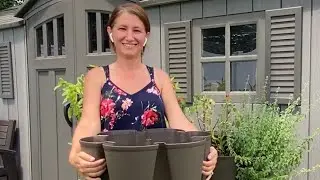 5 Easy Steps to Start a Container Garden