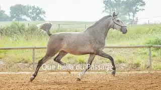 QUEBELLA DU PASSAGE