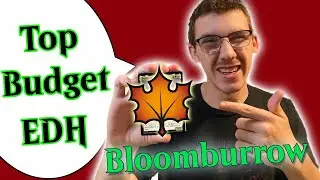 Top 10 Budget Commanders from Bloomburrow