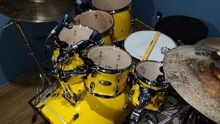 Pearl Decade Maple