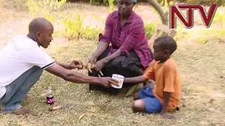 Locals treat sicklers with guinea-pig blood in Bundibugyo to deal with blood shortage