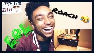 DK4L ROACH PRANK REACTION!! | @Fredthegreat__